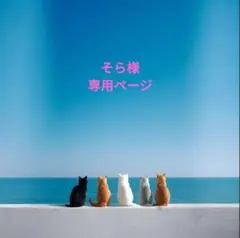 専用ページですのサムネイル