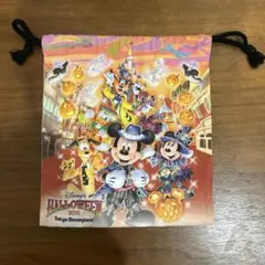 ●ディズニー ハロウィン 2016 巾着