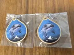 2026年最新】八景島シーパラダイス イルカの人気アイテム - メルカリ