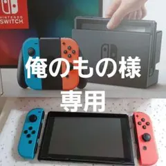 Nintendo Switch 本体 付属品完備(ジャンク有) SDカード付