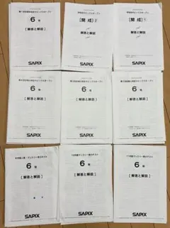 2026年最新】サピックステスト2年生の人気アイテム - メルカリ