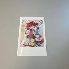 Crazy Raccoon CRフェス　2026 赤見かるび