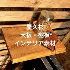 屋久杉　天板　棚板　インテリア　工作素材