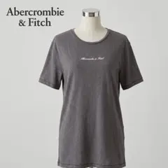 Abercrombie&Fitch 総柄 ロゴTシャツ グレー Lのサムネイル