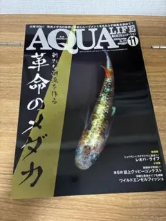 Item thumbnail for item dab74504-a4fd-49e0-a3ee-3b8df0feaf71