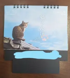 Item thumbnail for item 3a05792a-153e-46b5-8bf3-294fbce2ada6