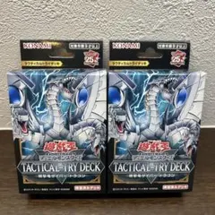 2025年最新】タクティカルトライデッキ 未開封の人気アイテム