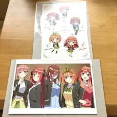 五等分の花嫁　カード　ポストカード　中野一花　二乃　三玖　四葉　五月