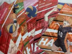 ハイキュー クリアファイル 6枚セット 表裏イラスト異