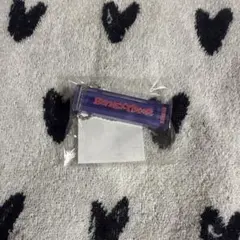 BOYNEXTDOOR ソンホ アクリルキーホルダー