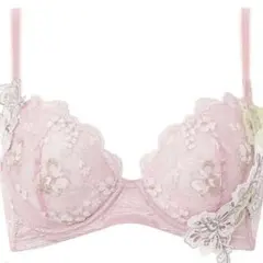 2026年最新】ワコールE65の人気アイテム - メルカリ