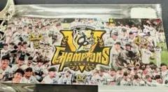 【甲子園限定】阪神 NPB史上最速優勝記念 キーホルダー