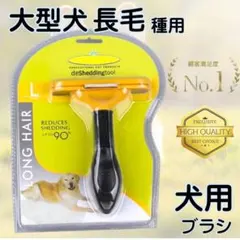 Item thumbnail for item 00f1b21c-cc17-4e2e-ac0b-a0b961b73e87