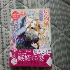 契約婚した相手が鬼宰相でしたが、この度宰相室専任補佐官に任命された地味文官(変…
