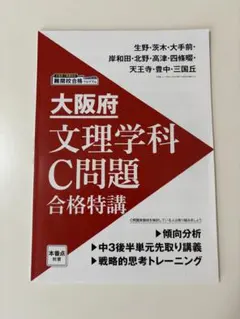 2025年最新】大阪進研の人気アイテム - メルカリ