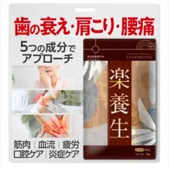 2026年最新】楽養生 90粒の人気アイテム - メルカリ