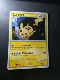 ポケパークのピカチュウ フォレストシート キラ 1枚 - メルカリ