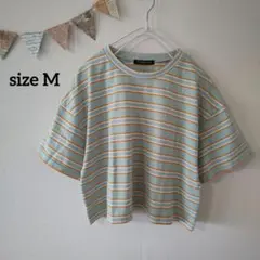 マルチボーダー　半袖Tシャツ サイズM ショート丈　カジュアル