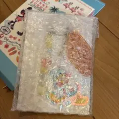 ディズニー　サニーサニーサマー　キーチェーン　ドナルドダック