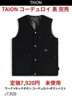 TAION M 未使用 完売 コーデュロイ ワーク Vネックボタン ダウンベスト