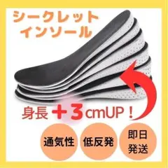 〇シークレットインソール ３cmアップ　中敷き 低反発　身長UP　防臭　男女兼用のサムネイル