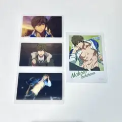 Free! ミニフォトカード フォト カード ミニブロマイド 橘真琴 真琴