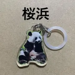 アドベンチャーワールド ジャイアントパンダ 証明写真アクリル