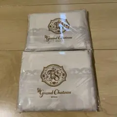 新品未開封　ファンタジースプリングス宿泊者限定のディズニーエコバッグ 2個セット