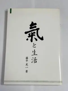 2026年最新】藤平光一の人気アイテム - メルカリ