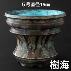 多肉植物棚 GAI-T53（棚＋トレー） - メルカリ