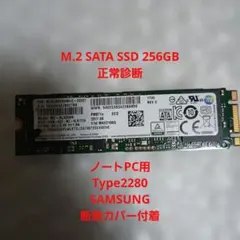 SAMSUNG M.2 SATA SSD 256GB Type 2280正常診断