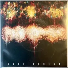 SOUL SCREAM アナログレコード