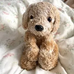 【美品】AURORA ぬいぐるみ 犬 ベージュ