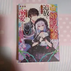 TL 6月 新刊 結婚初夜に逃亡したら、クールなはずの国王陛下が本性を露