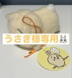 【うさぎ様専用】ぬいぐるみキーホルダー