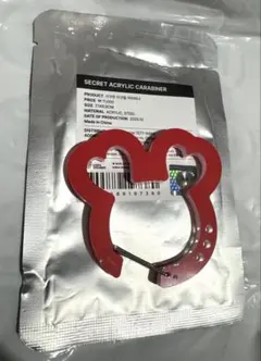 2025 TWICE FANMEETING カラビナ