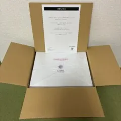 超貴重！新品未開封！ ファイナルファンタジーX グリコ プリッツ