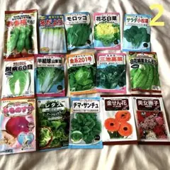 あひる様 リクエスト 2点 まとめ商品