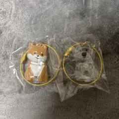 わんこのタイムカプセル　まめ(柴犬系)・モコ(テリア系)2個セット