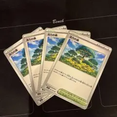 ポケモンカード　活力の森　4枚
