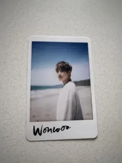 SEVENTEEN Al1 トレカ　ウォヌ