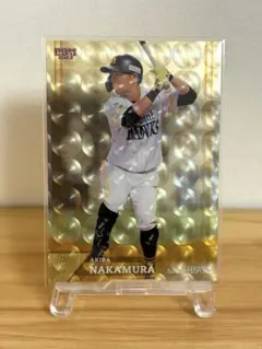 Item thumbnail for item 8ade26c3-2ee1-4f00-9774-2645446cc895