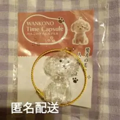 WANKONO Time Capsule わんこのタイムカプセル むぎ