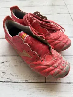 モレリアネオ4ジャパン 26.5cm 限定カラー