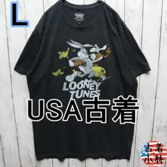 メンズL【A品】USA古着Tシャツグレー1309