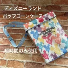 Disney Resortポップコーンケース　　　短時間使用