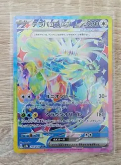 【匿名配送】テラパゴスｅｘ　SAR　226/187　テラスタルフェス