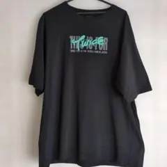 Item thumbnail for item 4aeb69b4-d890-4622-82dd-3fb293e03432