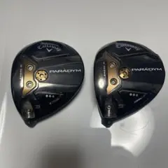 2025年最新】パラダイム ヘッドのみの人気アイテム - メルカリ