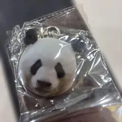 中秋祭　ガチャ　モンラン萌蘭　パンダ　上野　動物園